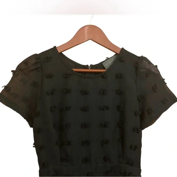 Anthropologie Sunday in Brooklyn Glenda Pom Swiss Dot A-line Black Dress - Picture 7 of 15